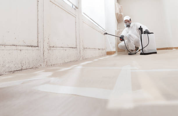 24/7 Emergency Basement Mold Remediation experts in Alpharetta, GA